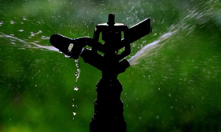 mani sankar ctfcm6szi0i unsplash (1)